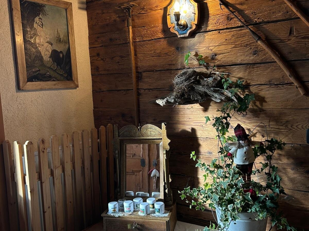 B&b Graz Trojar Haus主图