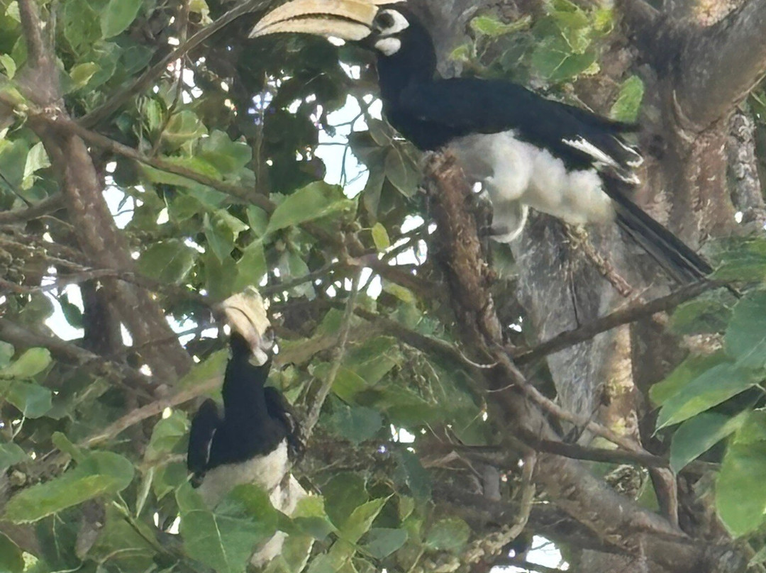 爱岛可可小屋主图