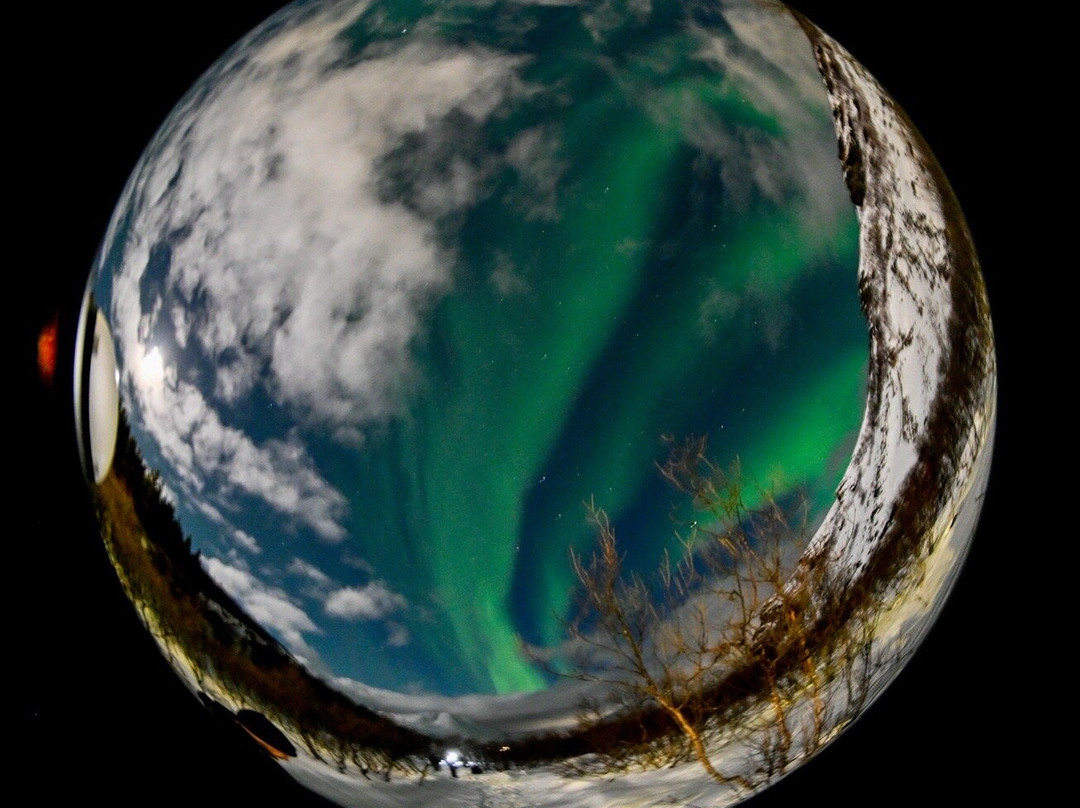 Majestic Whale Encounters-Foa Island必去景点