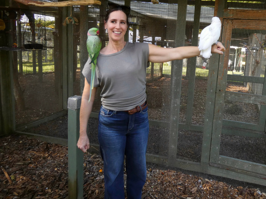 Parrots in Paradise Sanctuary-基亚拉凯库亚必去景点