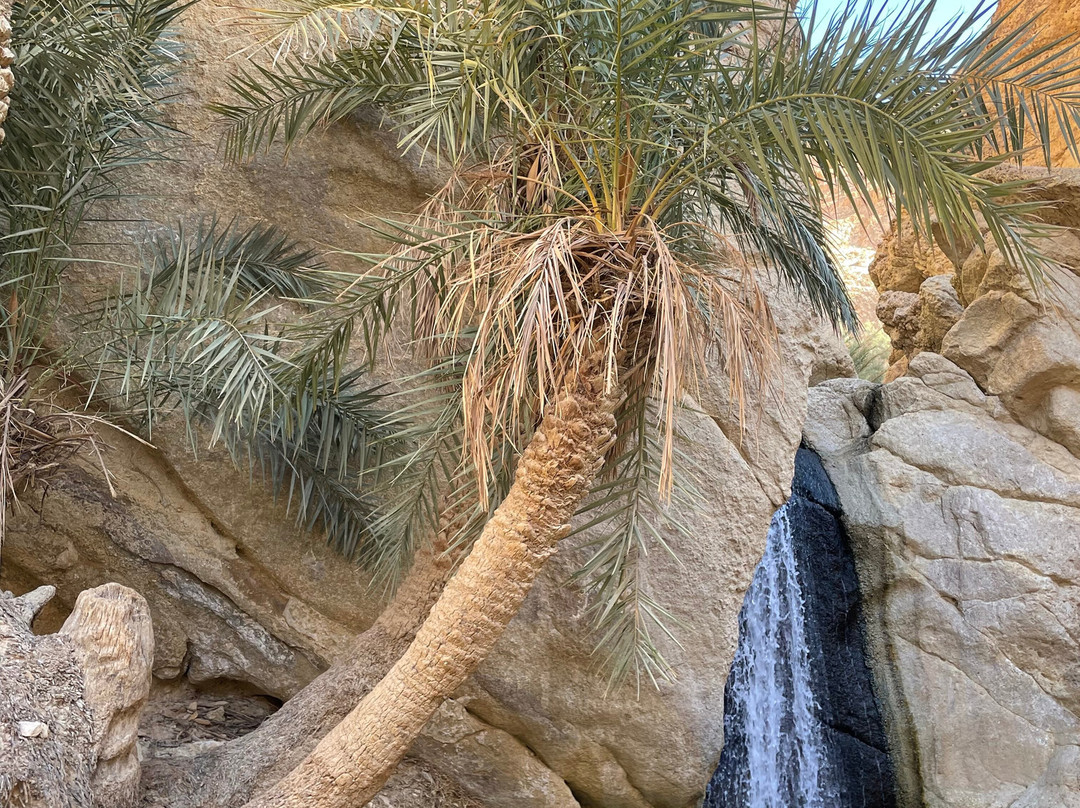 GSA-VOYAGES - Grand Sahara Aventures-杰尔巴岛必去景点