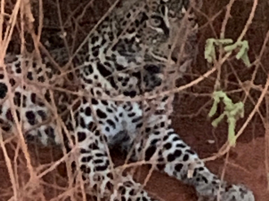 Escursioni in Kenya-瓦塔木必去景点