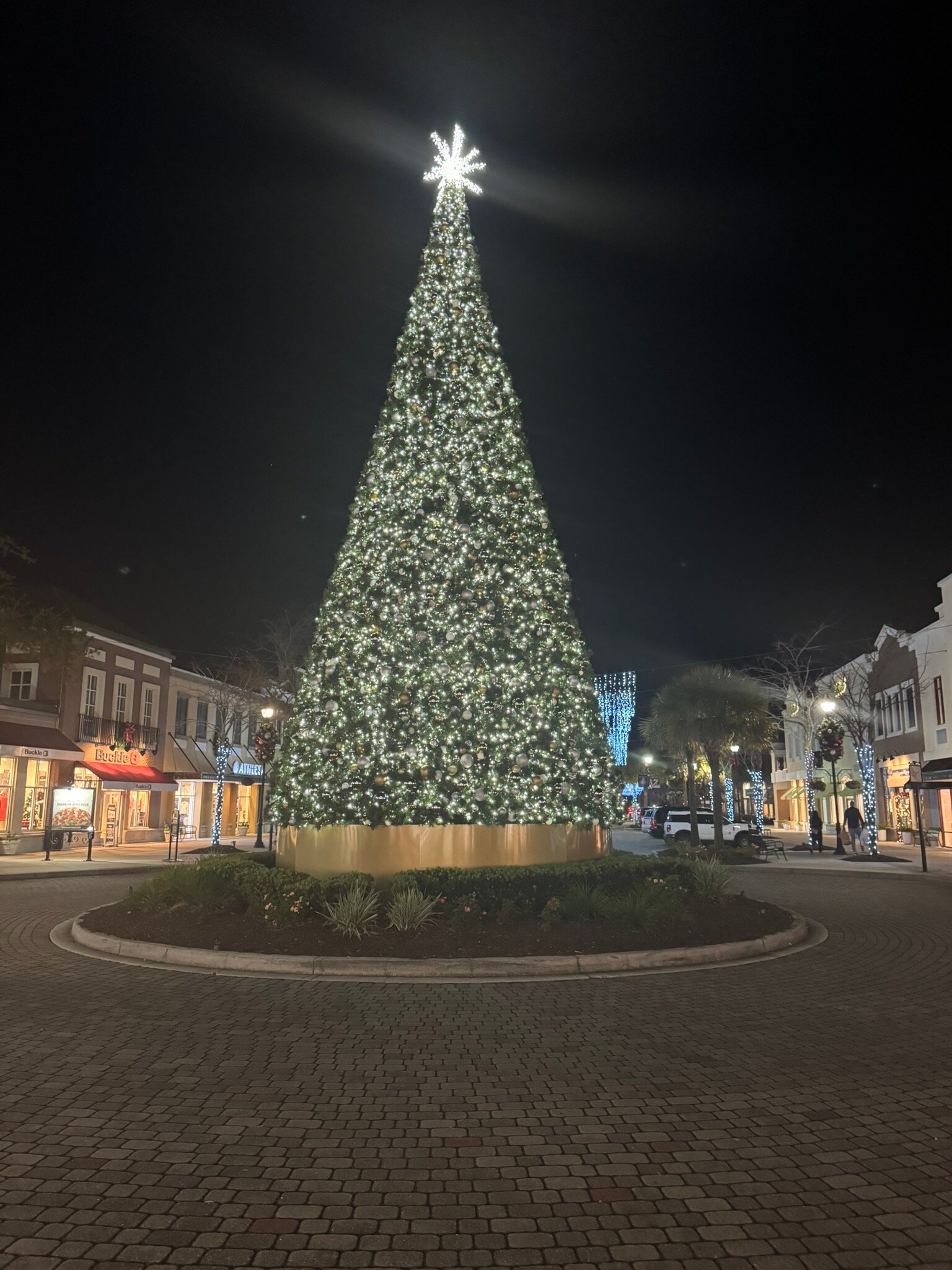 DoubleTree by Hilton Charleston Mount Pleasant-官方