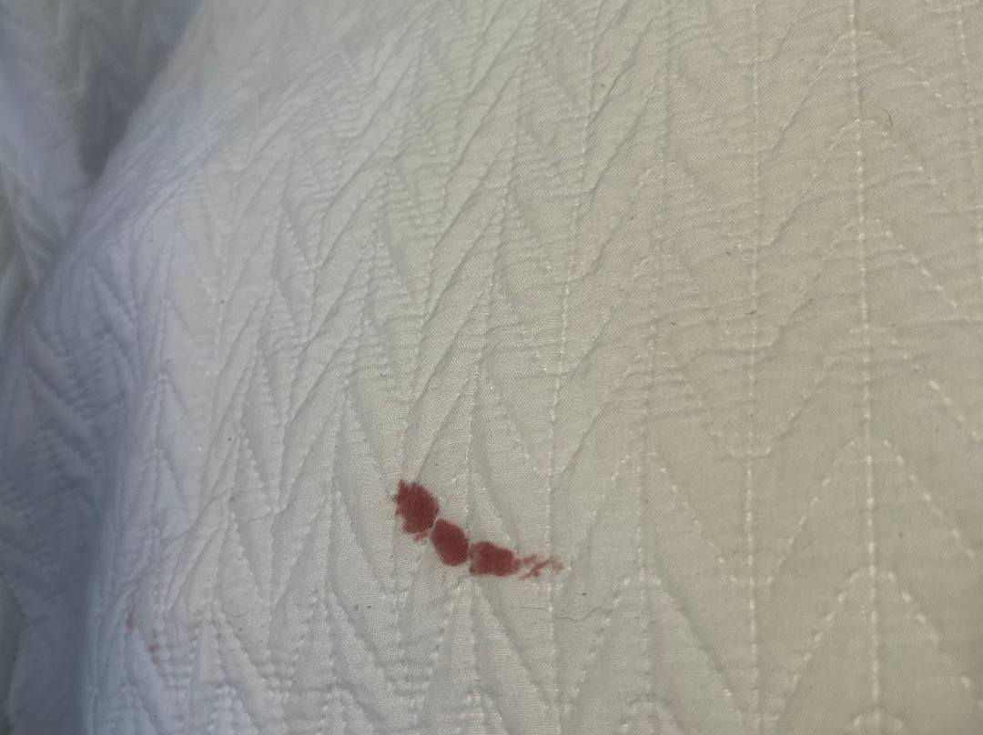 Central Motel Ipswich主图