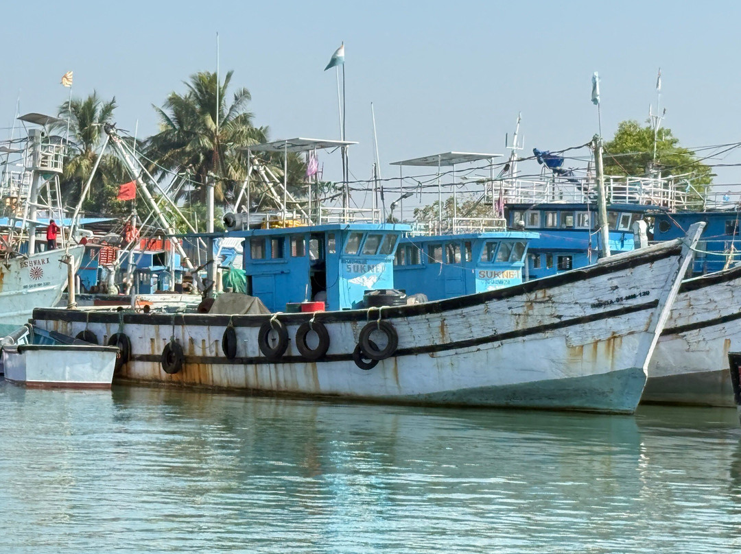 Cris Cruises-卡维洛辛必去景点