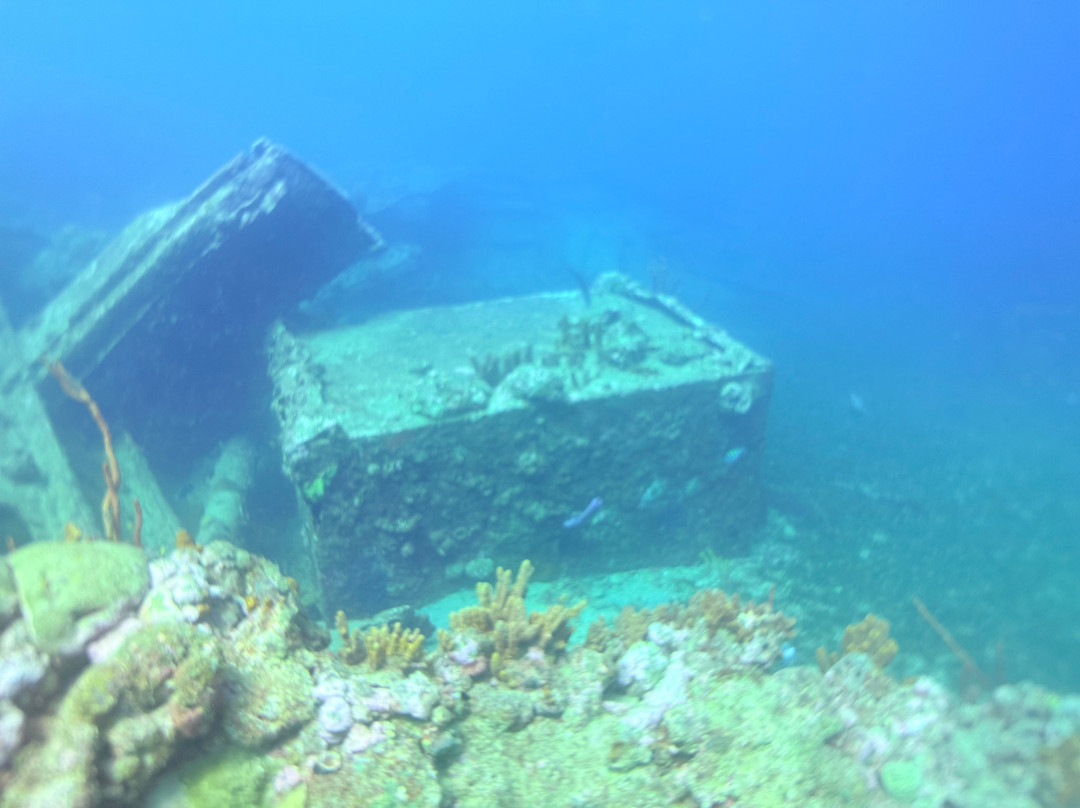 JADS Dive Center-San Nicolas必去景点