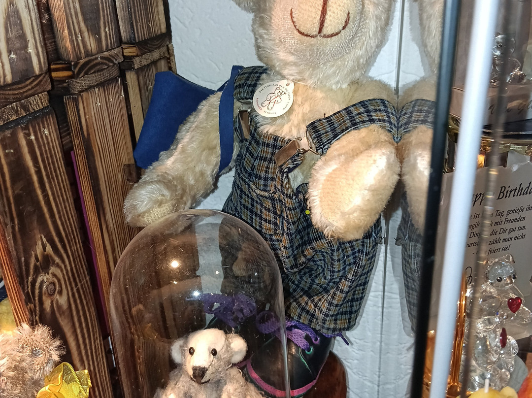 Teddy Und Puppenmuseum-Steinheim必去景点