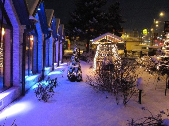 Pensiunea Scorpion Suceava主图