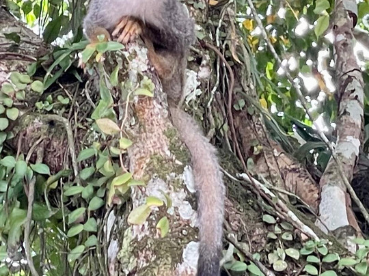 Thecrux Centre D'escalada-Bellvei必去景点