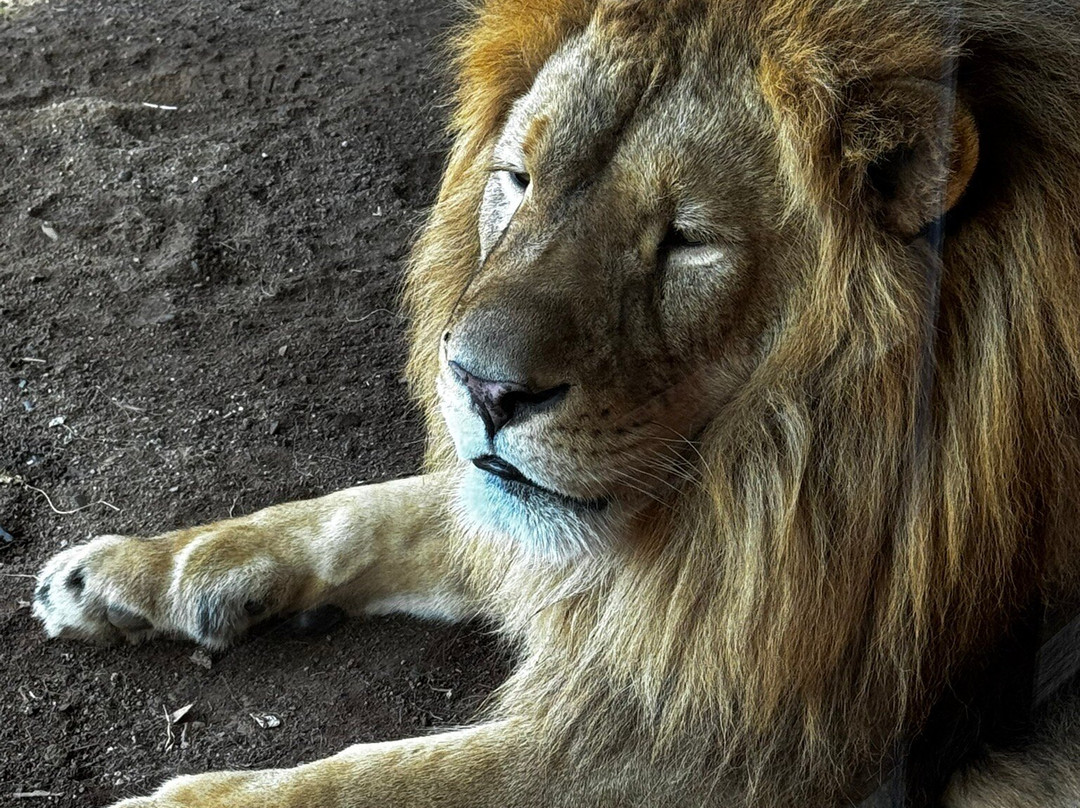 Pai Pai Ecotourism Park-恩塞纳达必去景点