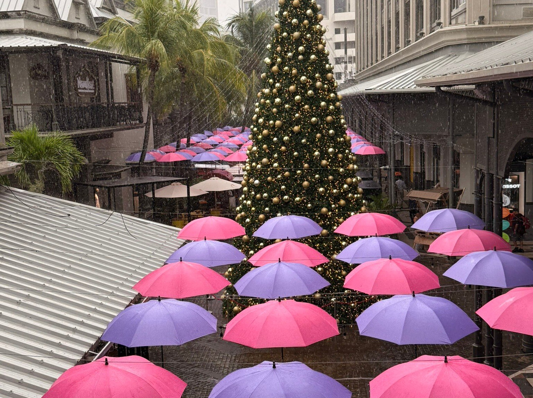 Belle Mare Tours-贝尔马尔必去景点