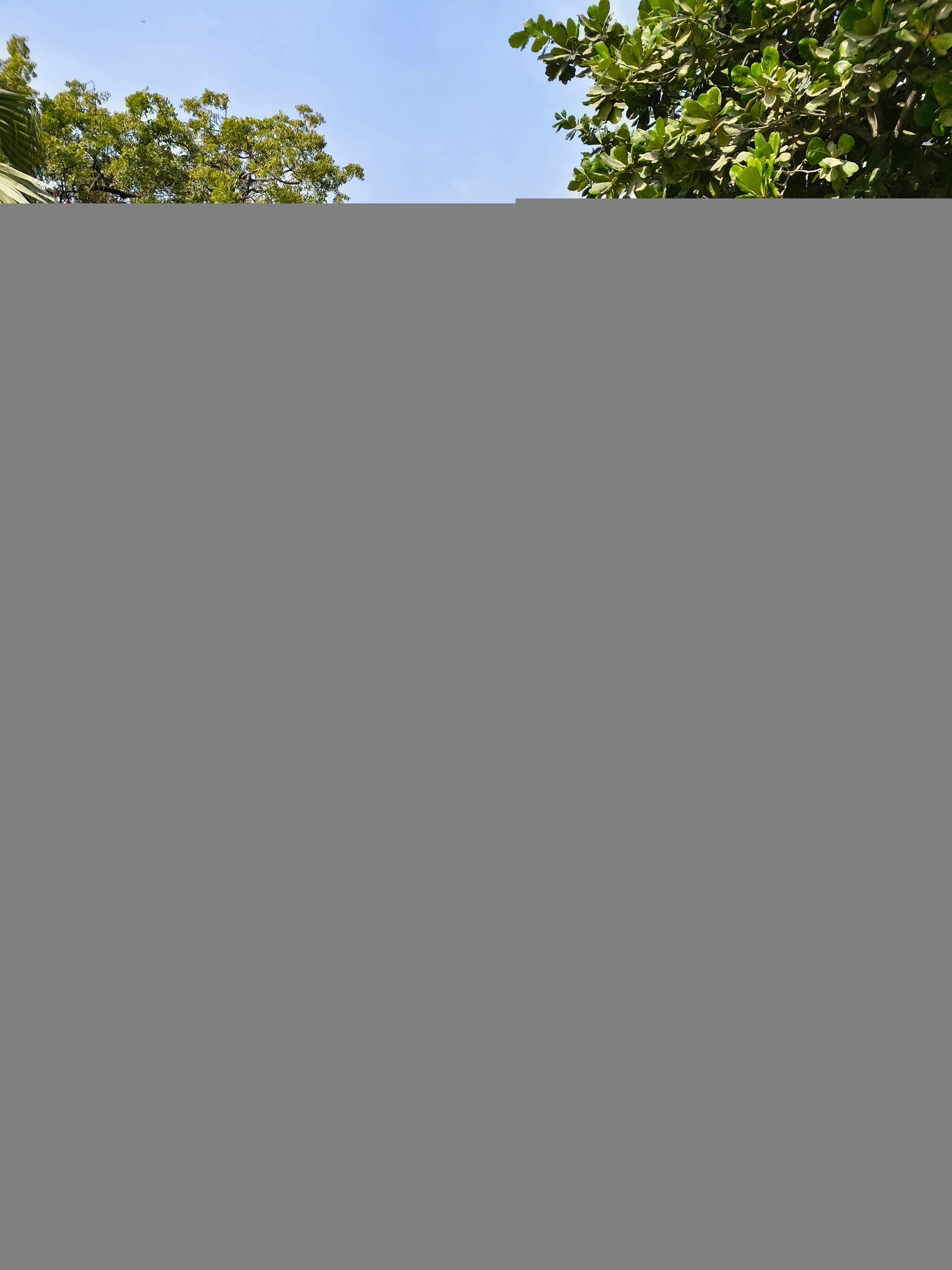 Beach Luxury Hotel-官方