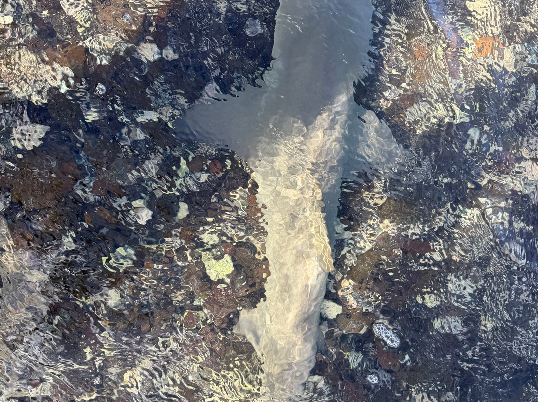 Explore Cape Verde-圣塔玛丽亚必去景点