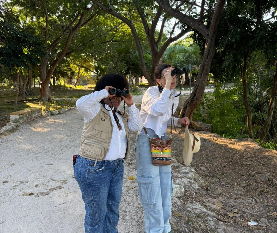 Colectivo Cardenales Premier Yucatán Birding Tours-梅里达必去景点
