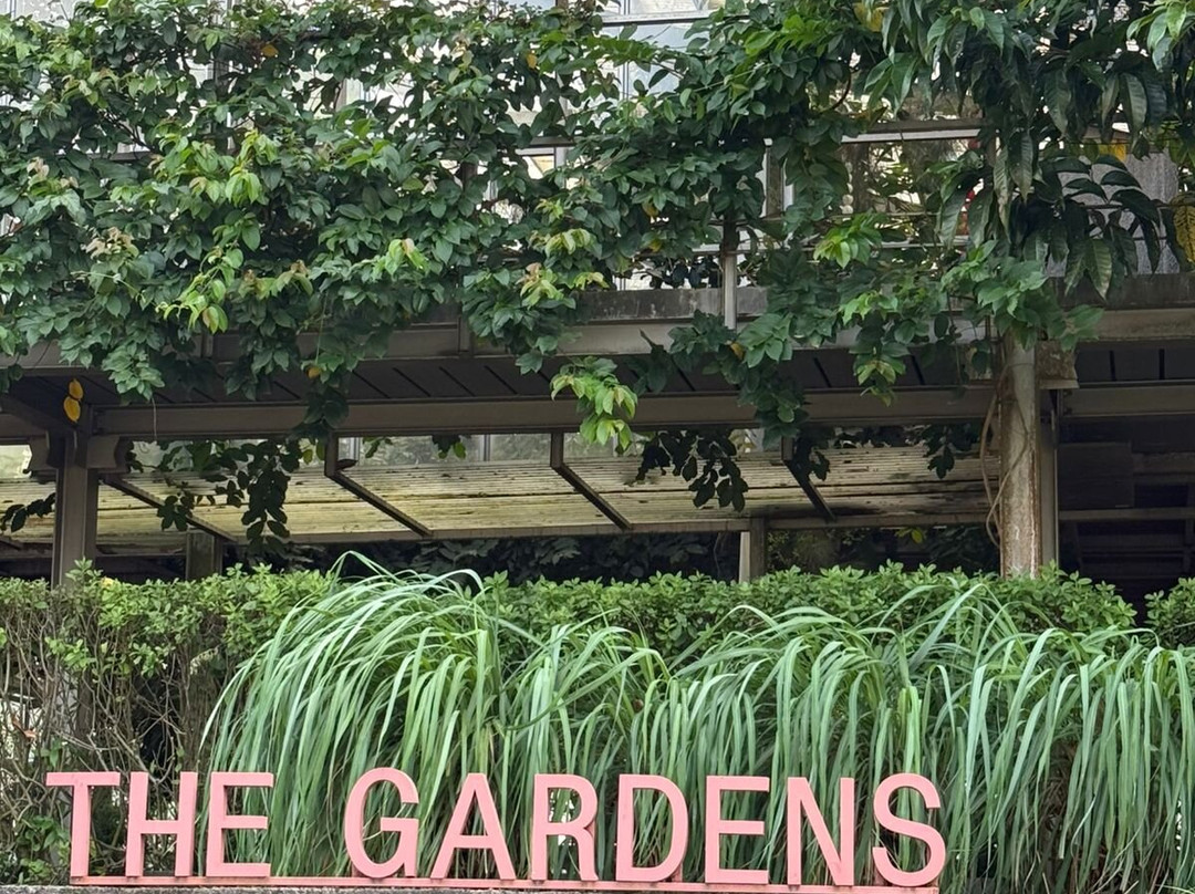 Rumah Atsiri Indonesia-Tawangmangu必去景点