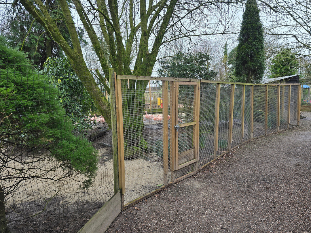 Axe Valley Wildlife Park-Axminster必去景点