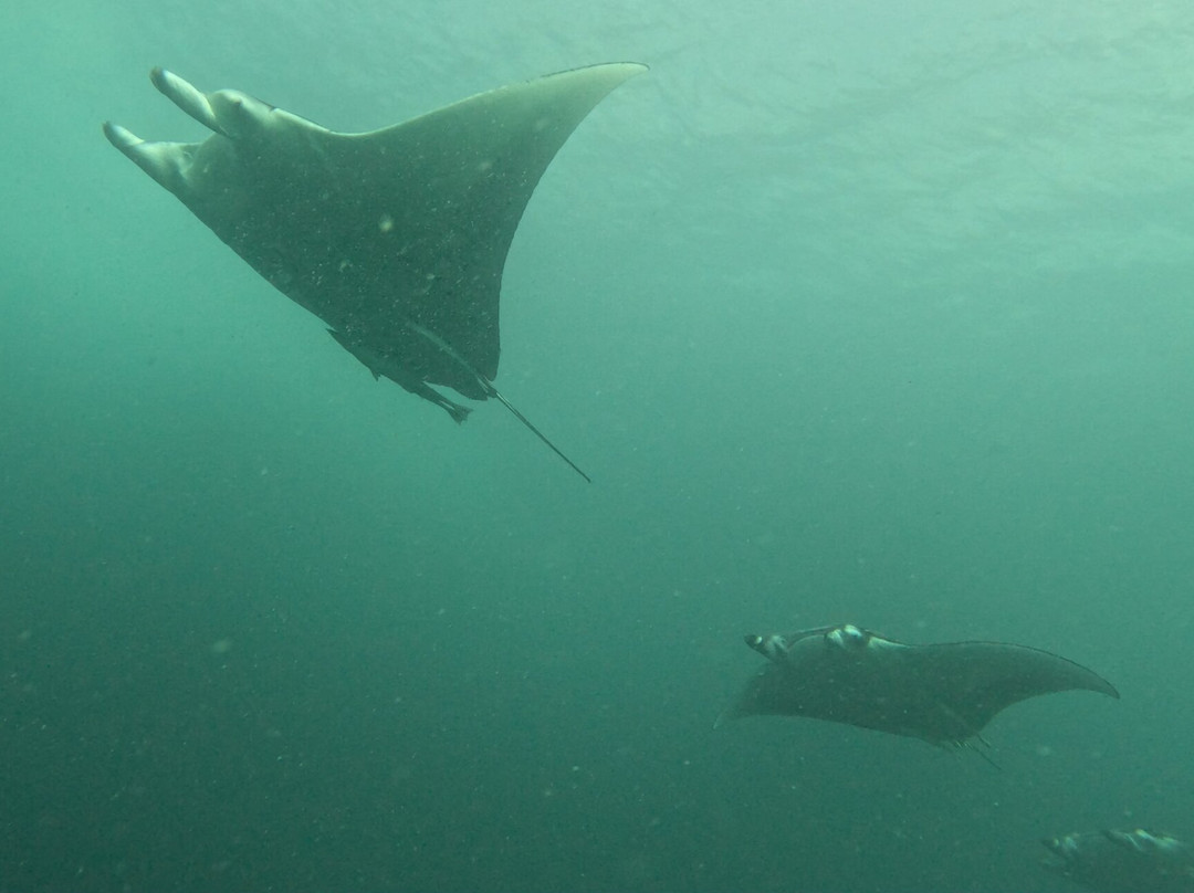 Ocean Dive Centre At Rangali-拉格利岛必去景点