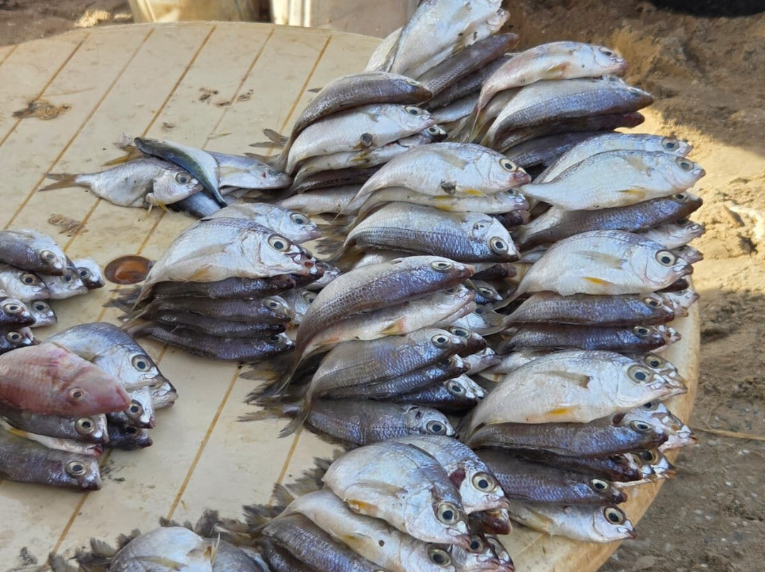 Bakau Fish Market-Bakau必去景点