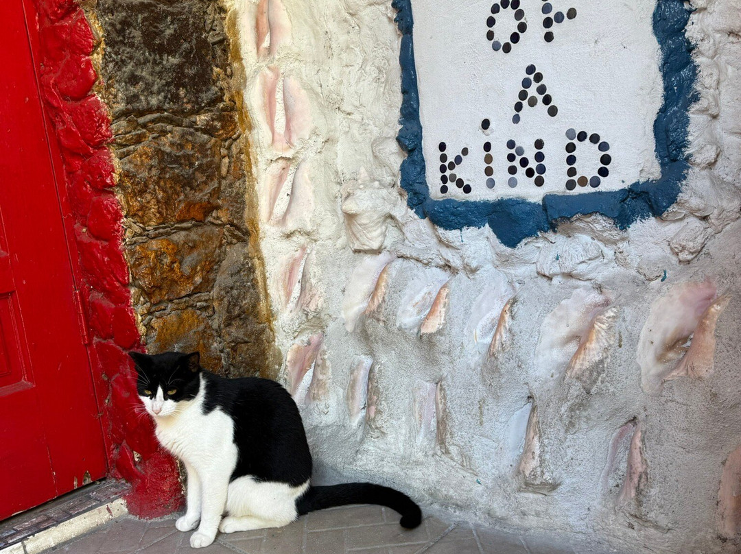 Dolphin House Museum-Alice Town必去景点