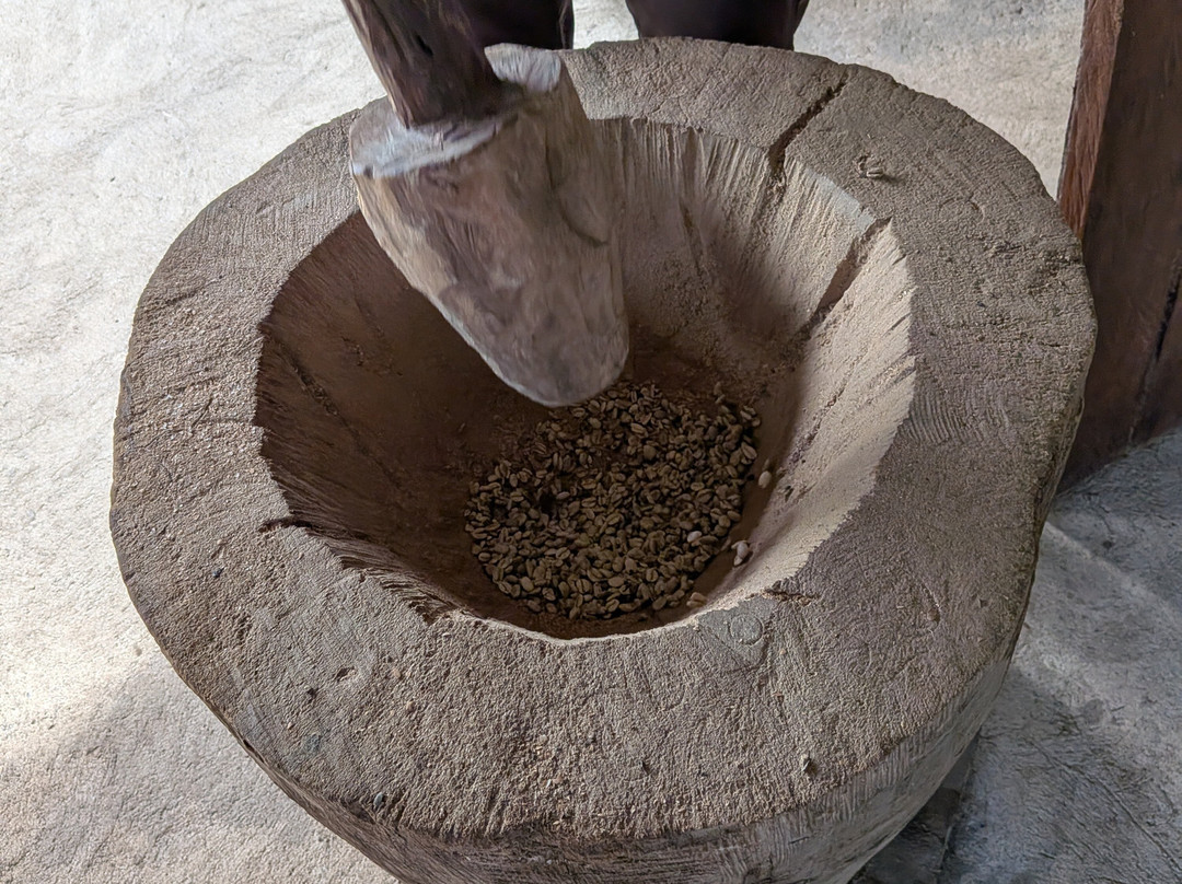 Cafe & Cacao Tour Bijagua-Bijagua de Upala必去景点