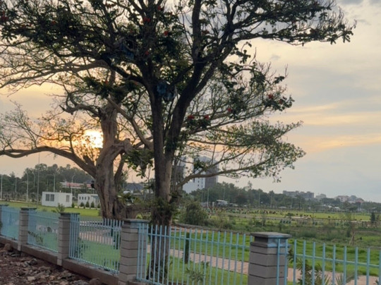 King Ethiopia Tour and Travel-巴哈尔达尔必去景点