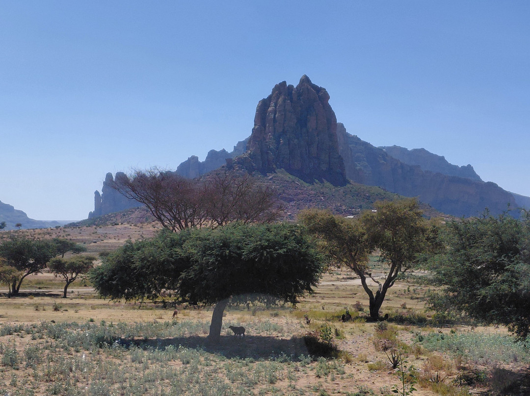 Lucy Ethiopia Tours-亚的斯亚贝巴必去景点