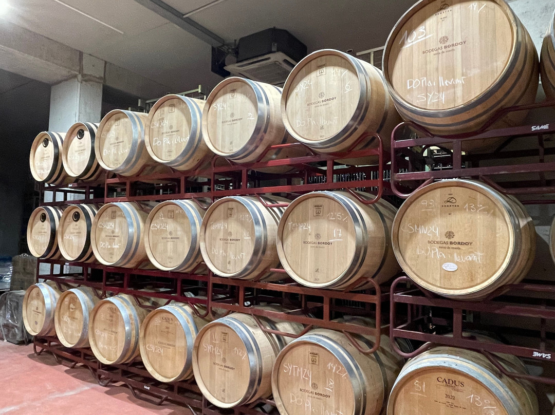 Bodegas Bordoy-柳奇马约尔必去景点