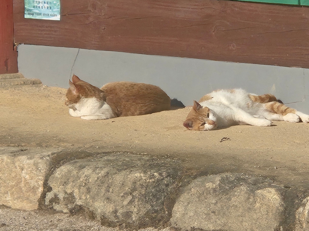 Dopiansa Temple-铁原郡必去景点