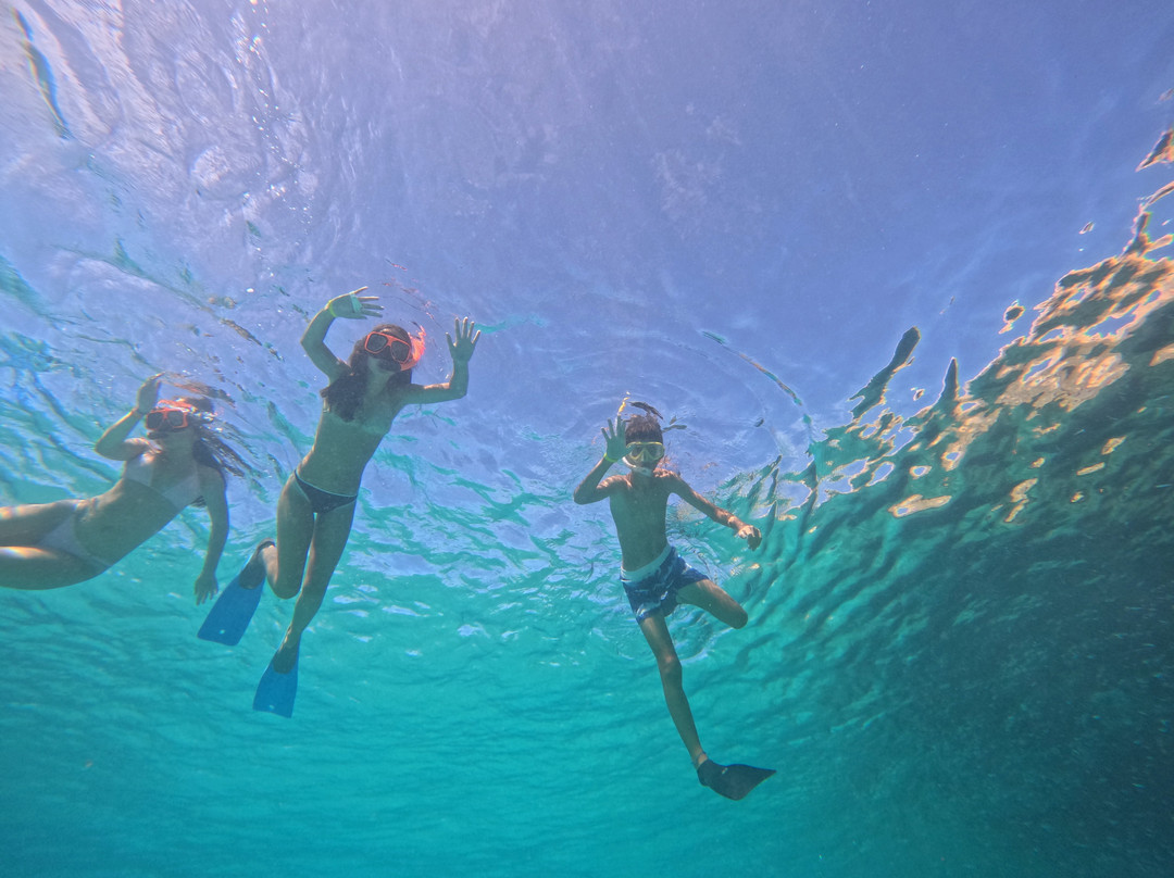 Red Sail Sports Aruba-奥腊涅斯塔德必去景点