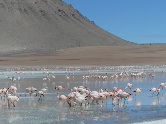 La Torre Tours-Tupiza必去景点