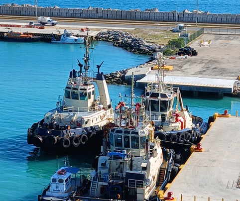 Terminal De Cruceros De Progreso-Progreso必去景点