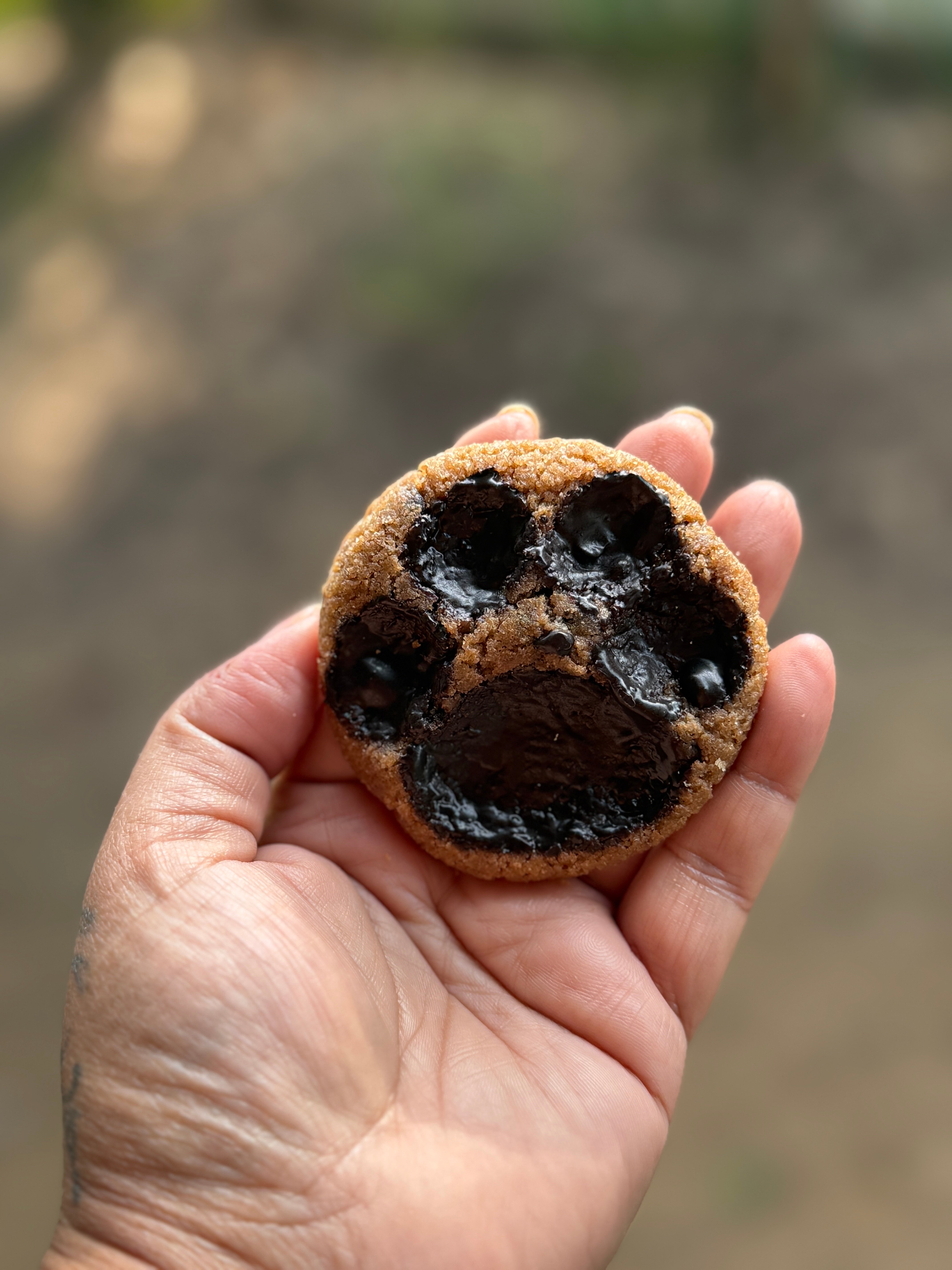 Kutani Bagh Sariska-官方