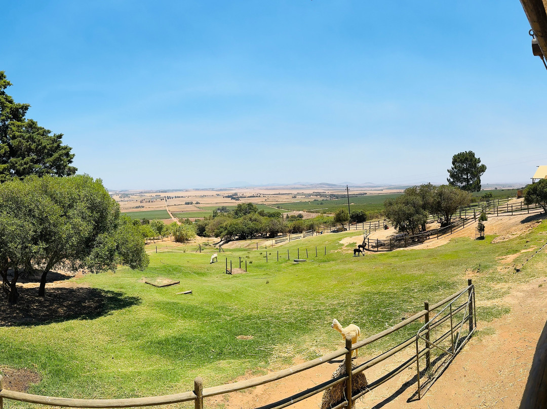The Alpaca Loom Coffee Shop & Weaving Studio-Suider Paarl必去景点