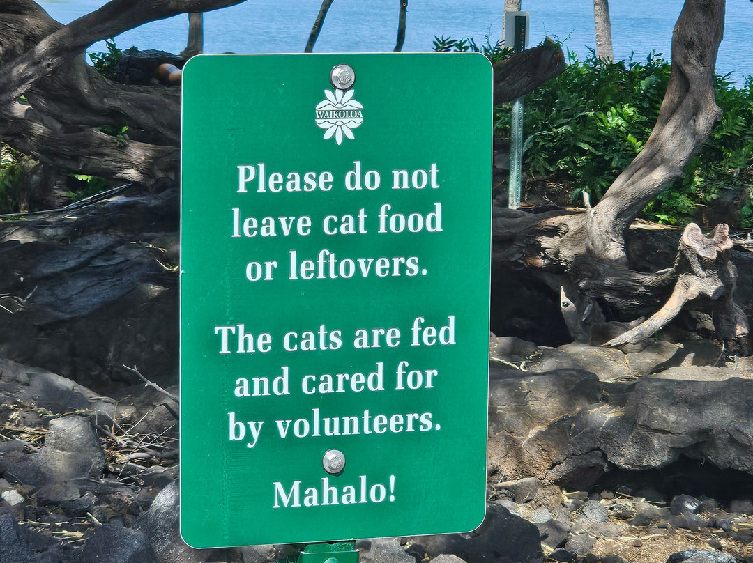 斯宾塞海滨公园-卡慕也拉必去景点