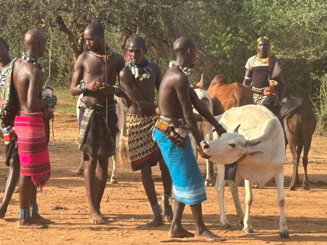 Tolerance Ethiopia Tours-Turmi必去景点