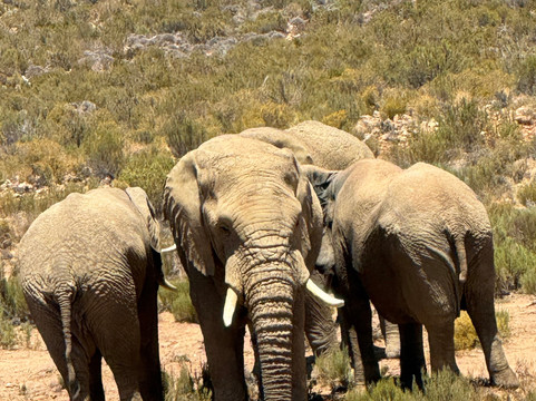 Sisters Traveling Solo-亚特兰大必去景点