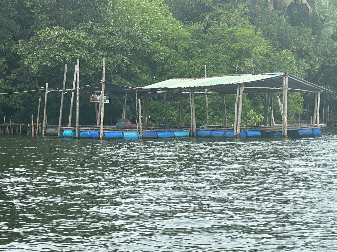 Dimtours Srilanka-因都鲁瓦必去景点