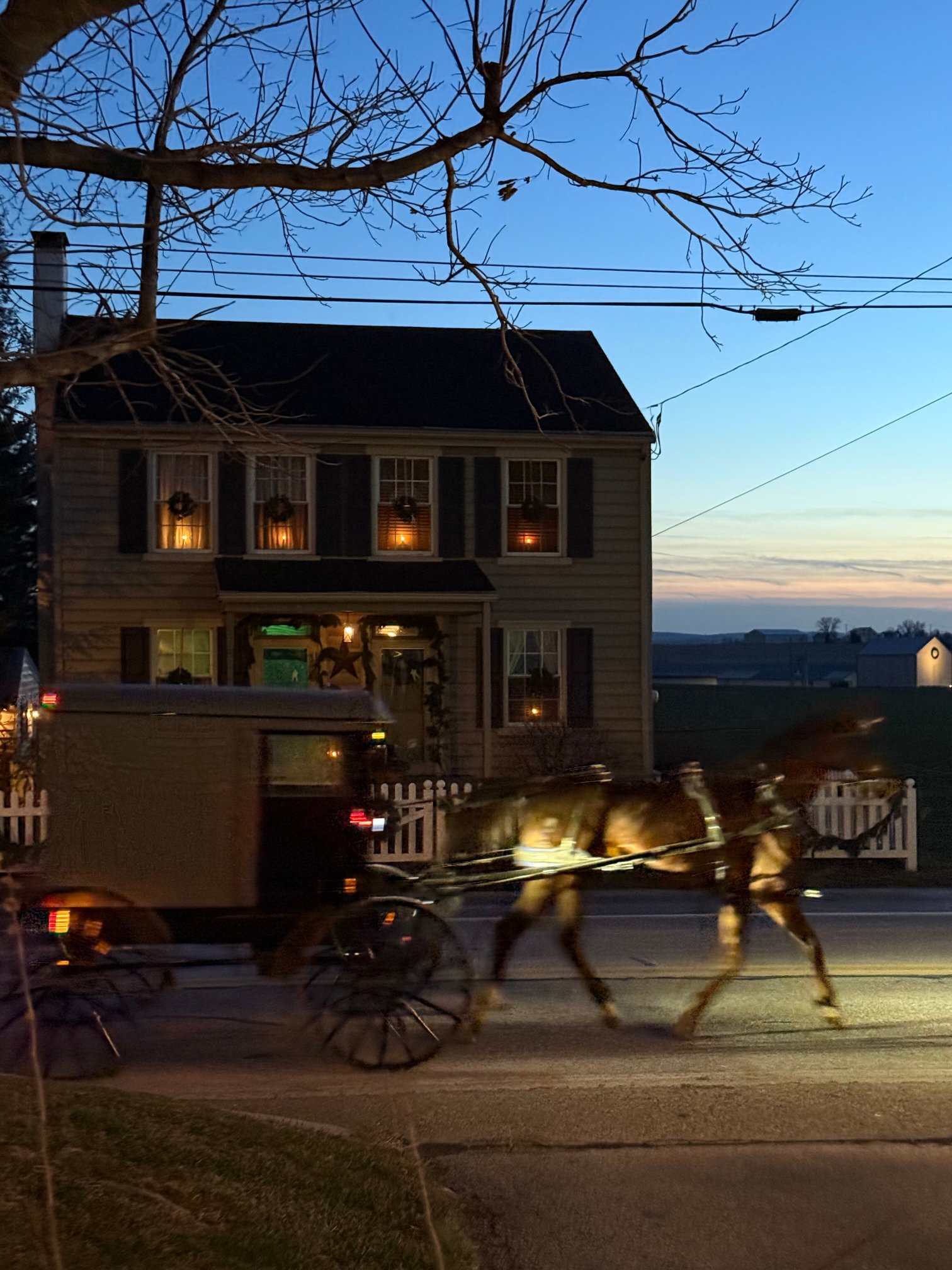 Walnut Lawn B&B-官方