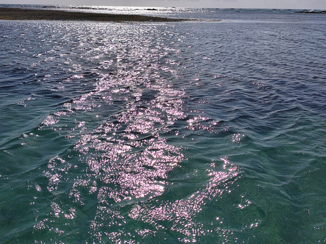 Sergio Tour Alagoas, Passeio Turístico Maceió-Maceio必去景点
