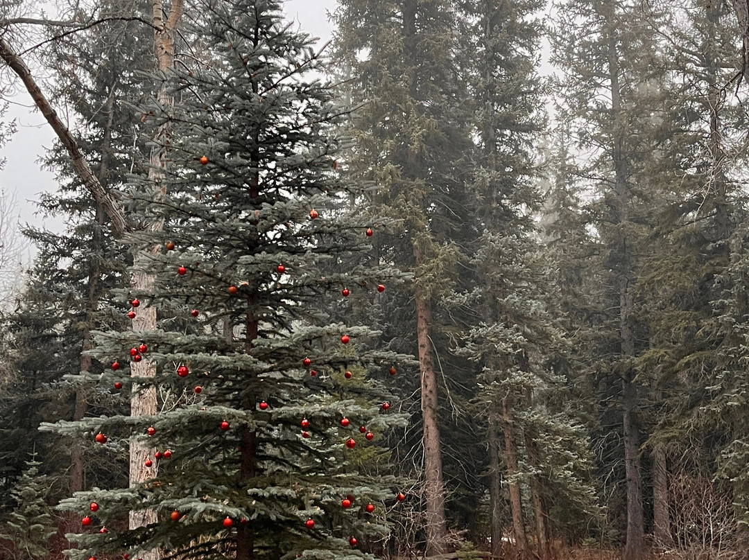 O-Bar-O Cabins主图