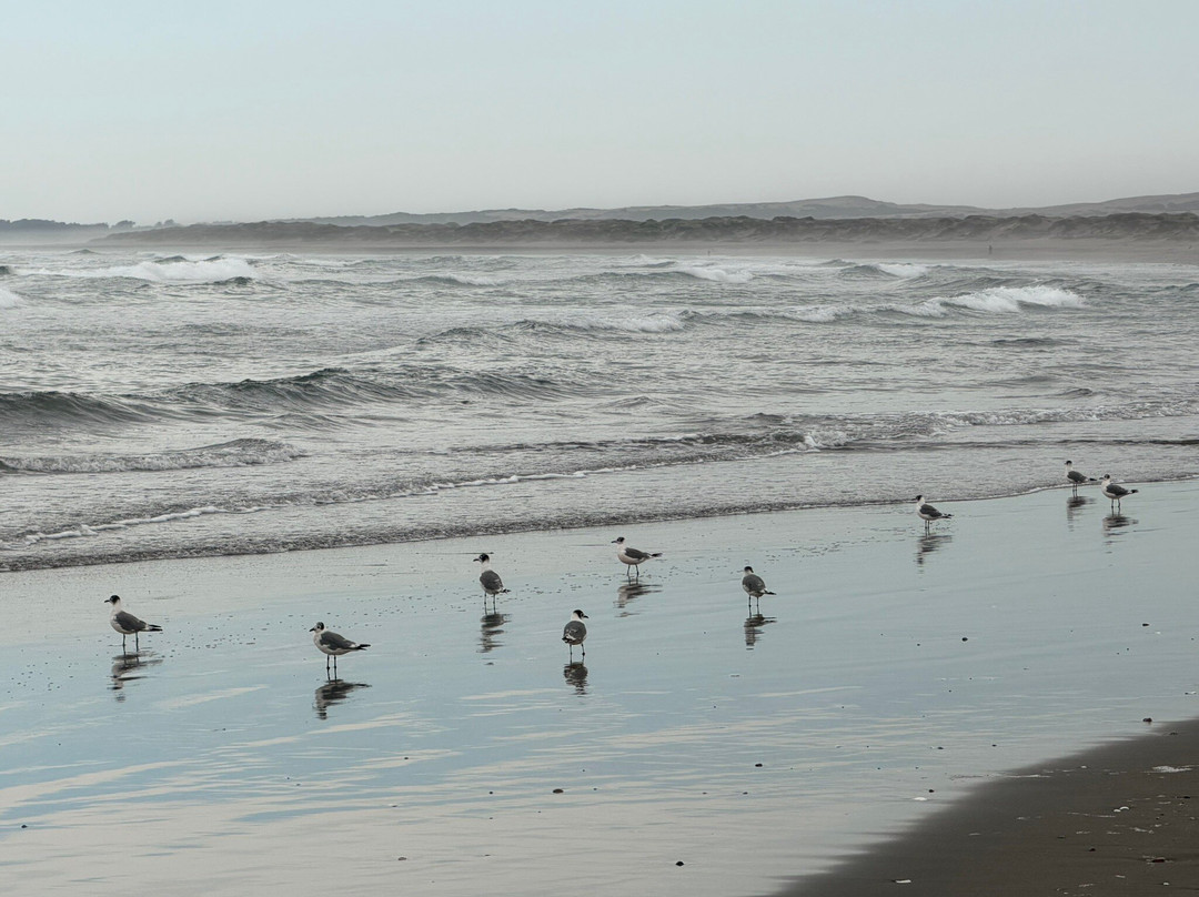 Posada del Parque-Quintero必去景点