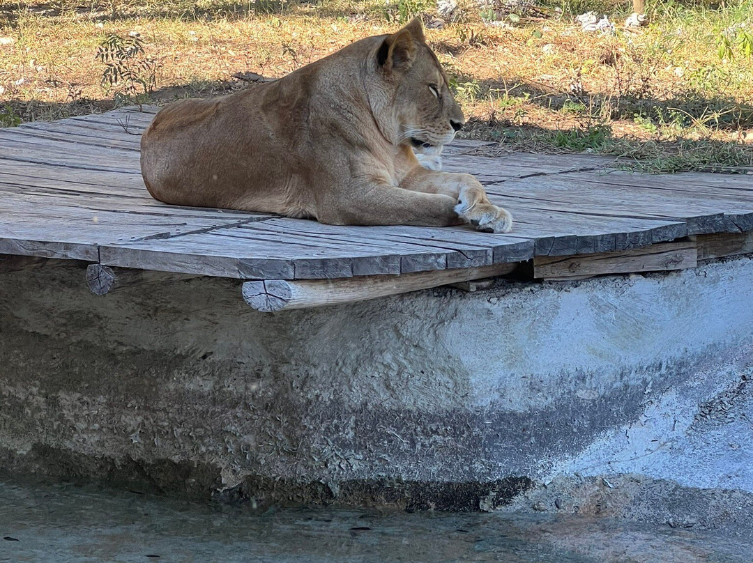 Parque Animaya-梅里达必去景点