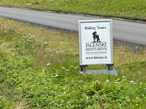 冰岛骑马之旅-雷克雅未克必去景点