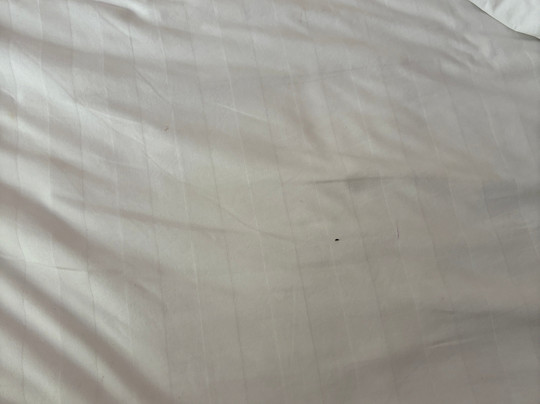 Ubud Tropical Garden 2主图