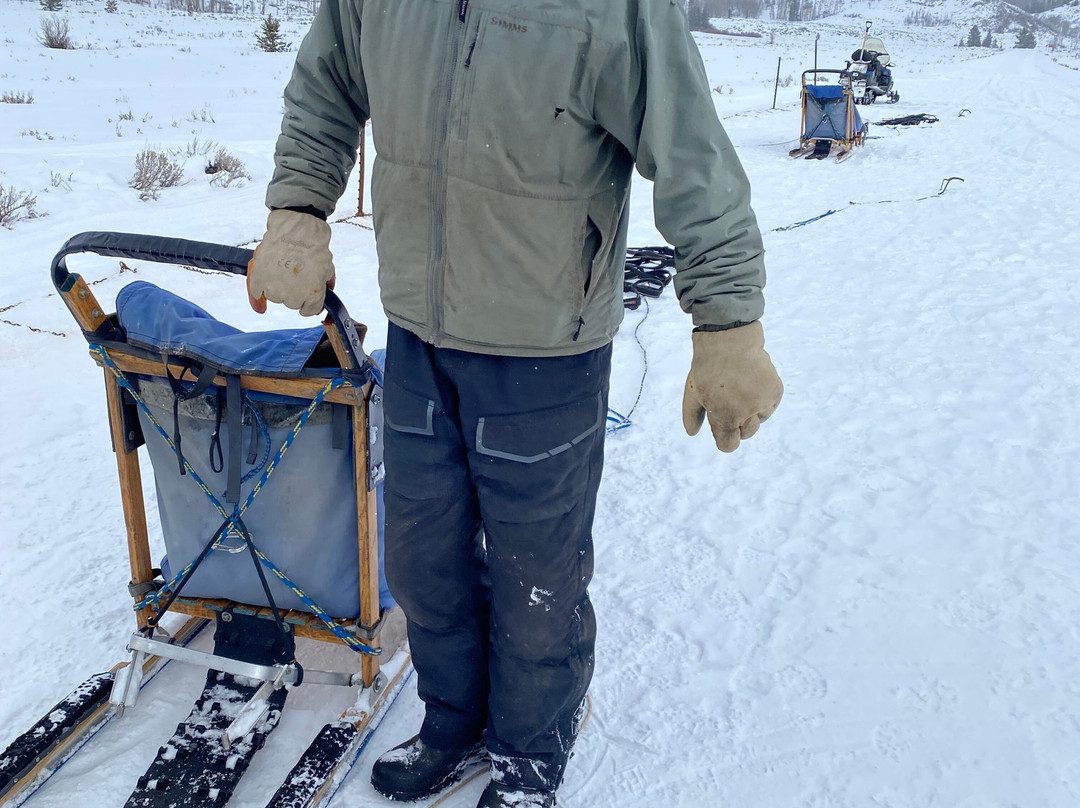 Grizzle-T Dog & Sled Works-斯廷博特斯普林斯必去景点