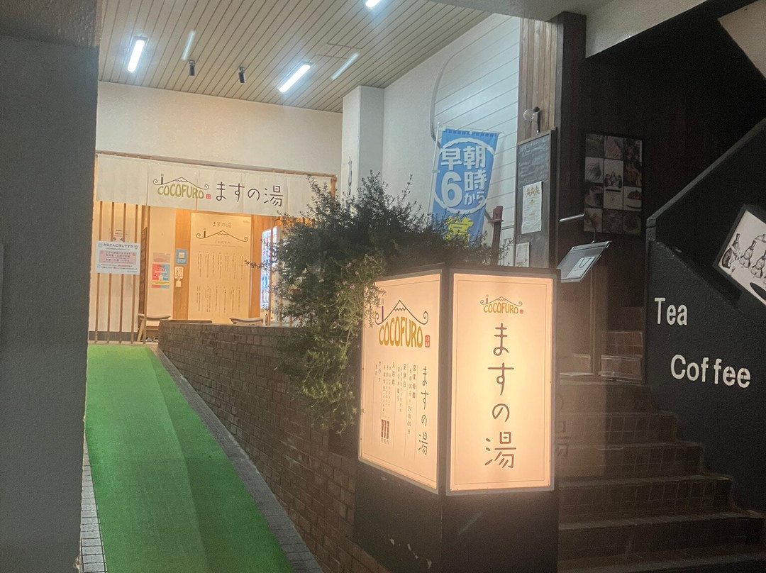 Cocofuro Masu no yu-大田区必去景点