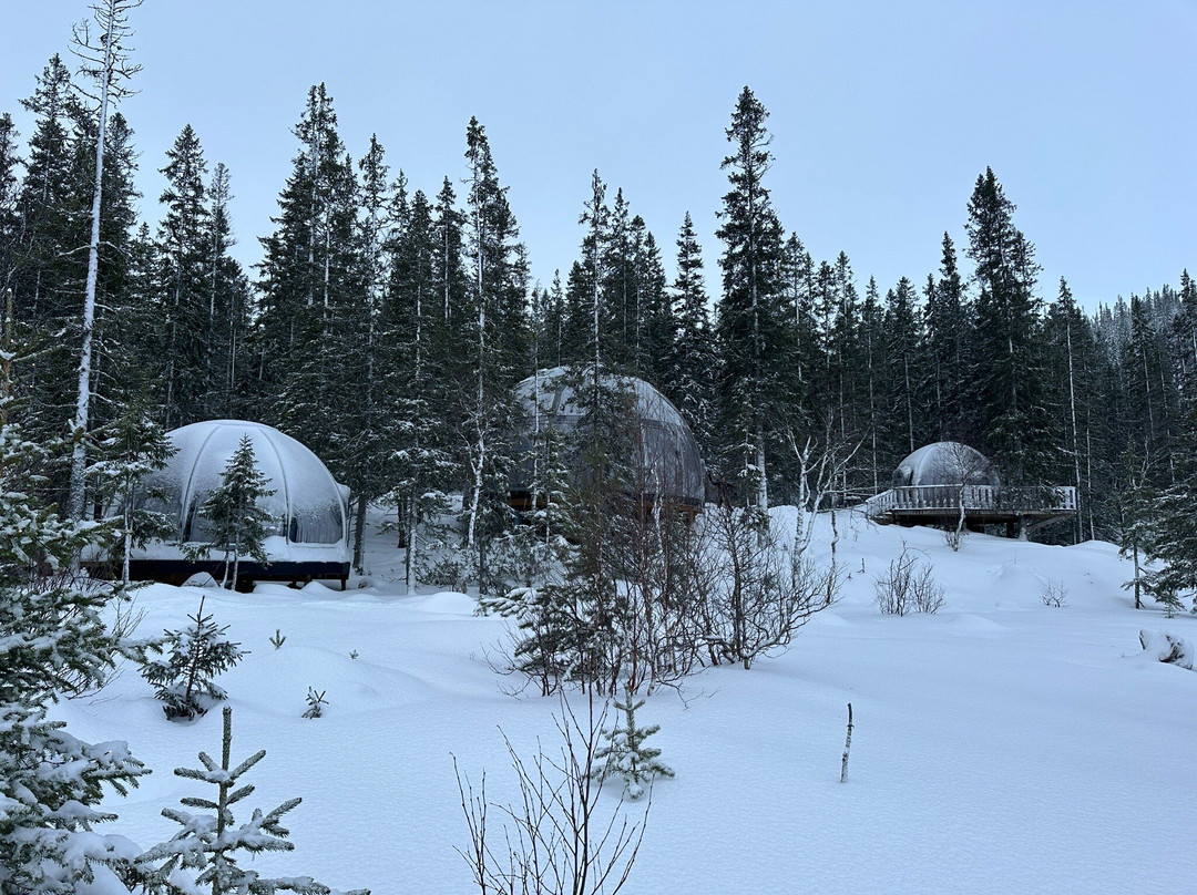 Rypetoppen Adventurepark-Meraker Municipality必去景点