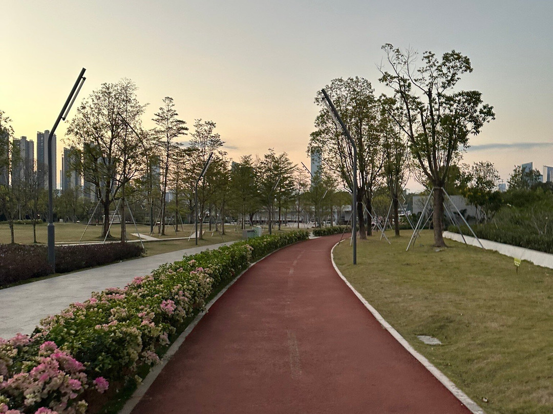 深圳中心公园-深圳市必去景点