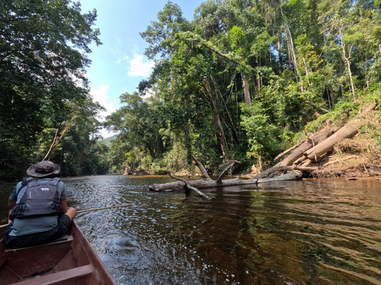 Taman Negara National Park-而连突必去景点