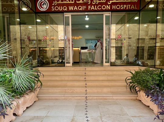 Souq Waqif Falcon Hospital-多哈必去景点